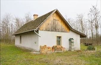 Eladó Jakabszállási tanya hirdetés (62257653)