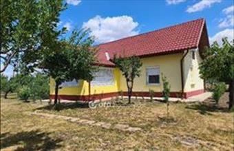 Eladó Székkutasi tanya hirdetés (38764637)