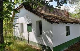 Eladó Kecskeméti tanya hirdetés (45423333)
