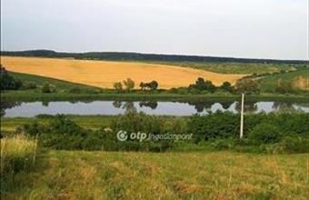 Eladó Villánykövesdi külterületi telek hirdetés (59543863)