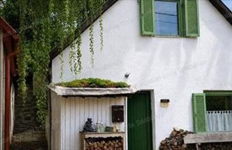 Eladó Vértestolnai pince, présház hirdetés (43843369)