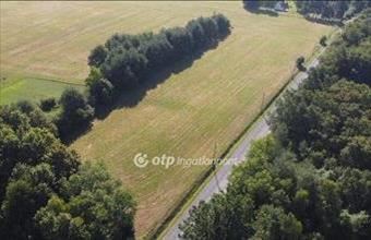 Eladó Szalafői lakóövezeti telek hirdetés (87634719)