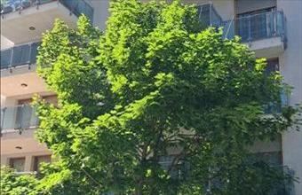 Eladó Budapest XIII. kerületi tégla lakás hirdetés (69875743)