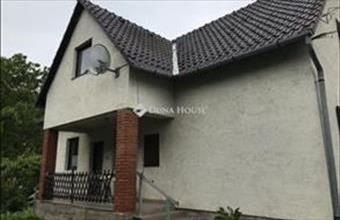 Eladó Iszkaszentgyörgyi családi ház hirdetés (91736755)
