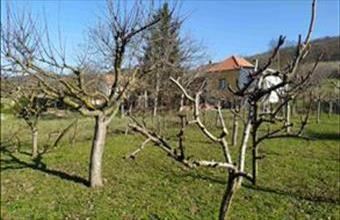Eladó Sümegi külterületi telek hirdetés (78441942)
