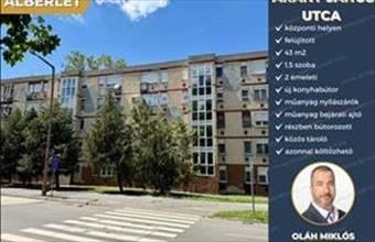 Kiadó Kaposvári tégla lakás hirdetés (56187379)