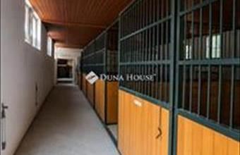 Eladó Kecskeméti családi ház hirdetés (79281267)
