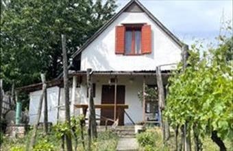Eladó Szekszárdi termőföld, szántó hirdetés (37733989)