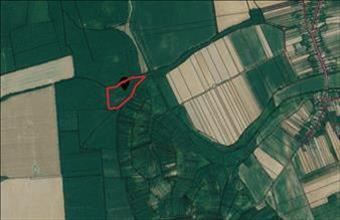 Eladó Nagytilaji erdő hirdetés (43843397)