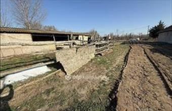 Eladó Tiszakécskei egyéb telek hirdetés (67542875)