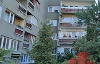 Kiadó Salgótarjáni tégla lakás hirdetés (53392379)