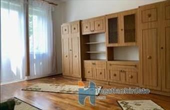 Kiadó Debreceni tégla lakás hirdetés (77869646)