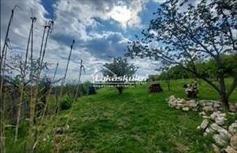 Eladó Balatonszőlősi üdülő hirdetés (77547934)