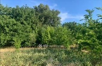 Eladó Balatonalmádi külterületi telek hirdetés (67467324)