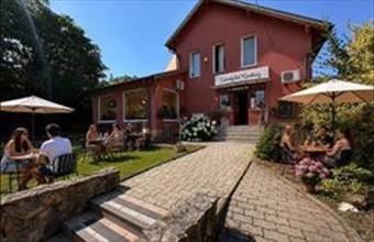 Eladó Szigetszentmiklósi étterem, vendéglő hirdetés (52614967)