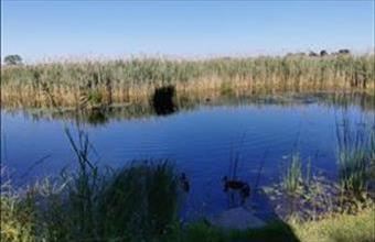 Eladó Dunaszigeti lakóövezeti telek hirdetés (67627235)