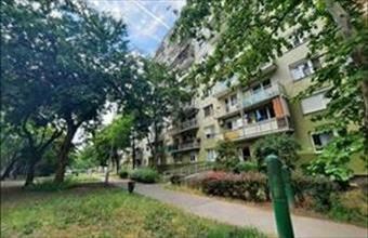 Eladó Budapest XV. kerületi panel lakás hirdetés (45458945)