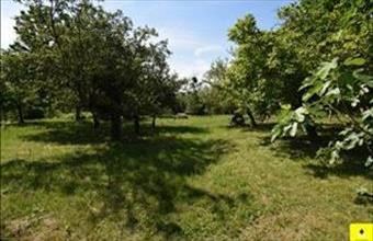 Eladó Kőszegi egyéb telek hirdetés (28927456)