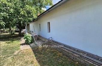 Eladó Szentesi tanya hirdetés (93723443)