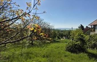 Eladó Balatonrendesi lakóövezeti telek hirdetés (59483533)
