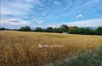 Eladó Töki külterületi telek hirdetés (33734259)