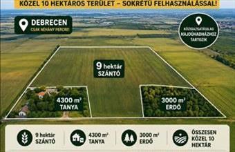 Eladó Hajdúhadházi egyéb mezőgazdasági ingatlan hirdetés (38334472)