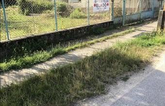 Eladó Dunaszigeti lakóövezeti telek hirdetés (77714991)