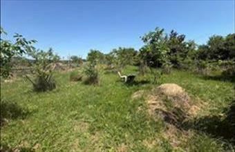 Eladó Balatonfüredi egyéb mezőgazdasági ingatlan hirdetés (42841762)