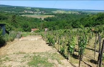 Eladó Zalaegerszegi hétvégi ház hirdetés (39487246)