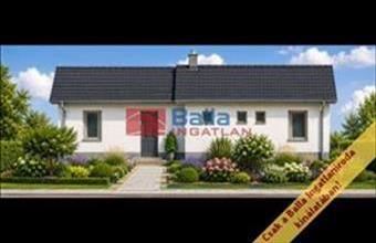 Eladó Tiszakécskei hétvégi ház hirdetés (23855231)