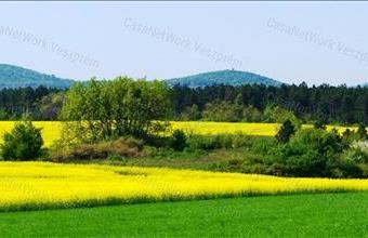 Eladó Veszprémi termőföld, szántó hirdetés (69449546)
