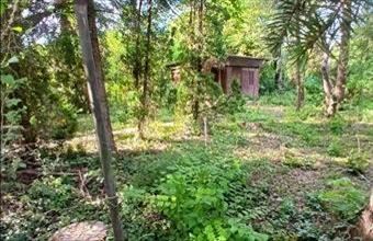 Eladó Balatonkenesei lakóövezeti telek hirdetés (47449795)