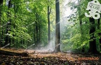 Eladó Kecskeméti külterületi telek hirdetés (44849474)