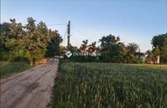 Eladó Sülysápi egyéb mezőgazdasági ingatlan hirdetés (98929736)