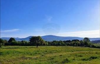 Eladó Solymári lakóövezeti telek hirdetés (46442958)