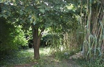 Eladó Szigetszentmiklósi családi ház hirdetés (72557332)
