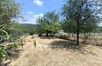 Eladó Pákozdi üdülőövezeti telek hirdetés (93291636)
