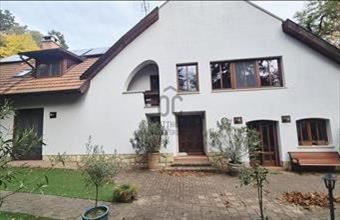 Kiadó Leányfalui családi ház hirdetés (41818443)