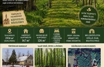 Eladó Mátételkei családi ház hirdetés (99971573)