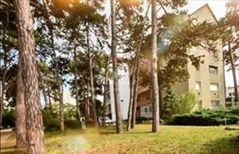 Eladó Veszprémi tégla lakás hirdetés (89774814)