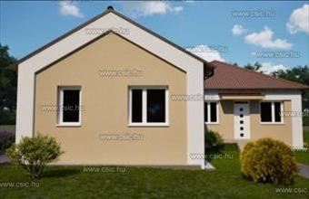 Eladó Őrbottyáni ikerház hirdetés (49622242)