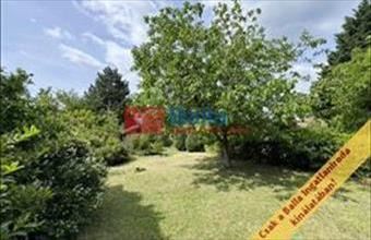 Eladó Budakeszi egyéb telek hirdetés (27474753)