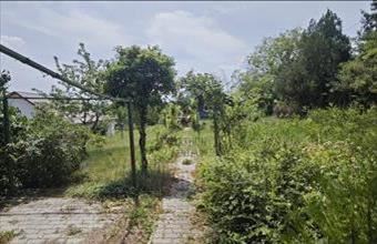 Eladó Szentendrei üdülőövezeti telek hirdetés (39298829)