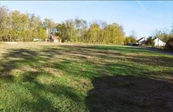 Eladó Csemői egyéb telek hirdetés (31449275)