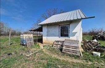 Eladó Szentesi egyéb mezőgazdasági ingatlan hirdetés (25465886)