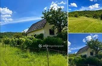 Eladó Szőci egyéb telek hirdetés (21298866)