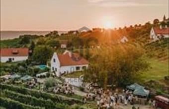 Eladó Hegymagasi lakóövezeti telek hirdetés (86929485)