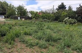 Eladó Érdi lakóövezeti telek hirdetés (34944456)