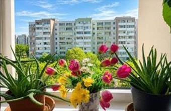Eladó Budapest XX. kerületi panel lakás hirdetés (84449344)