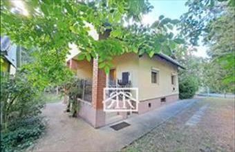 Eladó Szegedi hétvégi ház hirdetés (37754447)